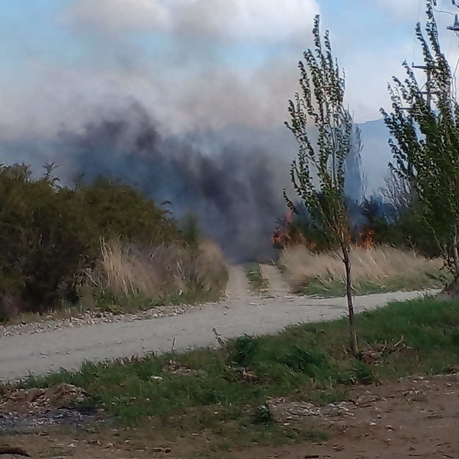 Un incendio interfase obligó a cortar la ruta entre Bariloche y Dina ...