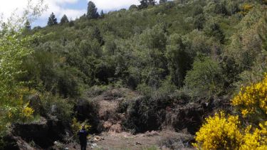 Este martes y miércoles se llevaron a cabo rastrillajes en la zona de Circunvalación y del aeropuerto. Foto: gentileza