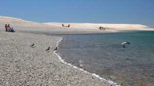 La Conchilla, a 65 km de Las Grutas: “Paisajísticamente, que se pulverice el manto de conchillas es un cambio definitivo”