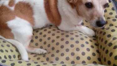 Navi es una paciente con esta afección