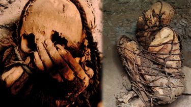 Un examen de radiocarbono dará indicaciones más precisas sobre la edad.