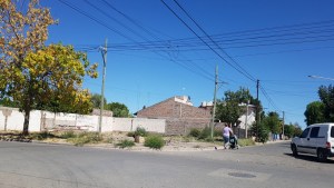 Propietarios de baldíos en Regina tendrán diez días para desmalezarlos