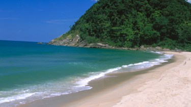 El hecho ocurrió en las playas del balneario de Ubatuba, en la región de San Pablo.