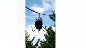 Insólito: usan un helicóptero para secar las plantas de cerezas en Valle Medio