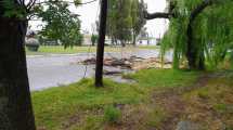 Imagen de En Viedma, las precipitaciones ya llegaron a los 70 milímetros