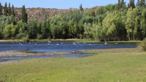 Parque costero Isla Jordán, para pasar el finde a pleno cerca de Cipolletti