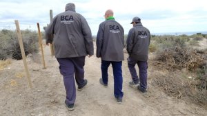 Allanaron un predio lindero a Punta Tombo por la matanza de pingüinos