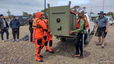 El lobo marino fue liberado en una lobería de la zona de Bahía San Blas.
