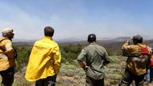 El incendio en Aluminé continúa sin control pero bajó la intensidad del viento en el Lote 39 de Quillén