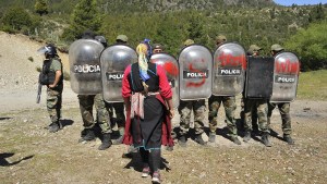 Acuerdan la paz en el conflicto mapuche de Cuesta del Ternero