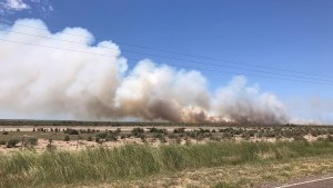Alrededor de 20 bomberos trabajaron sobre un incendio en cercanías a El Cóndor