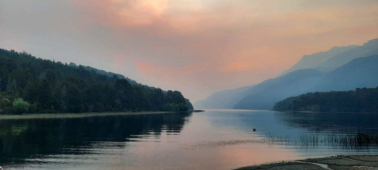 El incendio forestal comenzó el 7 de diciembre en la zona de lago Martin y se propagó a un amplio sector. preocupa a la población de El Manso y Villegas. Archivo