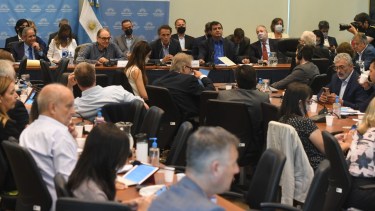 Hoy la comisión de Presupuesto escuchó a los ministros, salvo Vizzotti que no fue por cuestiones de agenda. 