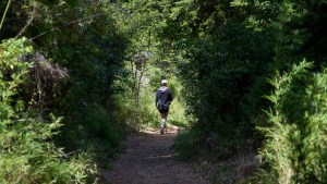 Pasó la floración de la caña, pero hay más temor al hantavirus