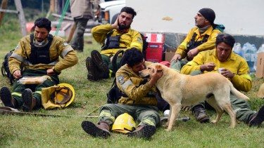 Hubo licitaciones de equipamiento para emergencias para brigadistas que fallaron por problemas de importación. Archivo