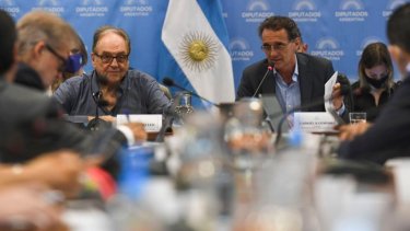 El ministro Katopodis respondió la consulta de los y las diputadas de la comisión. Foto: Twitter @AgenciaTelam
