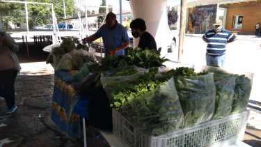 Productos de gran calidad para abastecer a la comunidad. Foto: gentileza. 