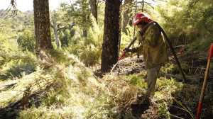 Incendio en Aluminé: «Sigue sin control, pero no avanzó en cantidad de superficie»