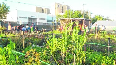 Estos espacios, que se transformaron en un punto de reunión para vecinos interesados en la agricultura, abrirán sus puertas este fin de semana.