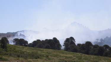 Continúan intentando sofocar el incendio. Foto: Prensa de Gobierno