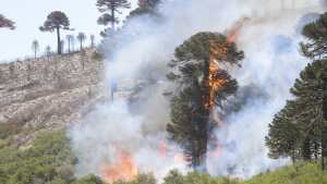 El incendio en Aluminé se descontroló más allá del Lote 39 de Quillén