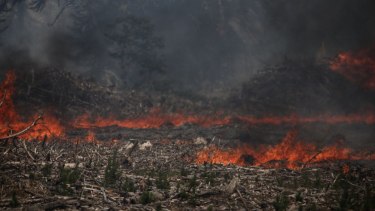El incendio en Aluminé es uno de los más importantes de la región. 