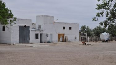 Actualmente las instalaciones solo permiten faena de tránsito local. Foto: José Mellado. 