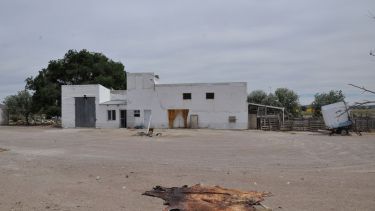 El matadero de Los Menucos tiene habilitación de tránsito local. Foto: José Mellado. 