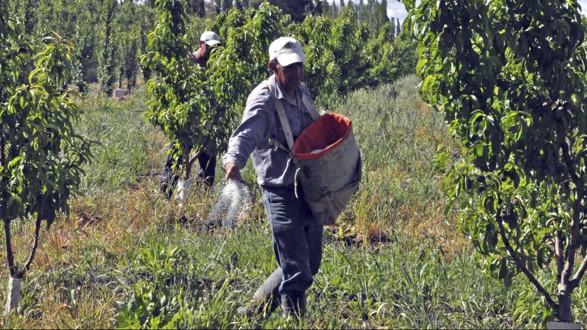 La UATRE acordó un bono de fin de año de $50.000 para los trabajadores rurales. 