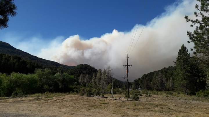 La columna de humo que desprenden las llamas a unos 40 kilómetros al sur de Bariloche. 