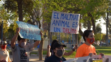 La agrupación proteccionista invita a denunciar la venta clandestina de pirotecnia. (Foto archivo)