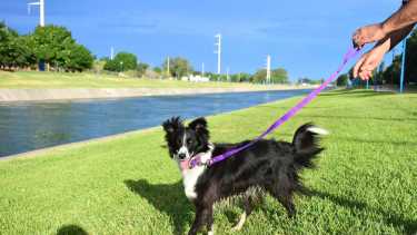 Roca 16/12/21: Vecinos se reunieron en el Cuartel central de los Bomberos Voluntarios para solicitar al municipio que coloque barras de contención en el Paseo del Canal Grande Foto: Andrés Maripe