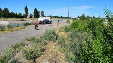 Una «selva» de yuyos cada vez más altos asoma en el canal grande, en Roca