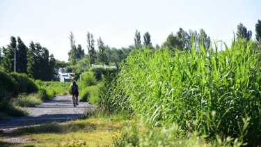  En algunos sectores resulta difícil transitar y carecen de iluminación. Foto: Andrés Maripe
