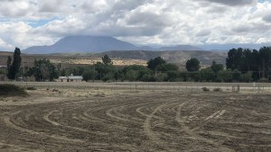 Arranca la construcción de El Alamito, el primer parque solar de Neuquén