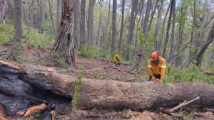 Tormentas eléctricas secas provocaron varios incendios en la cordillera de Neuquén
