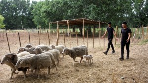 Financiarán un proyecto de alumnos de una Escuela Técnica de Roca y viajarán a Tecnópolis