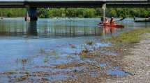 Imagen de El 2022 comienza sin agua para alimentar los ríos Neuquén y Limay