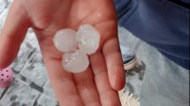 Imagen de Alerta por tormentas fuertes y caída de granizo en la región
