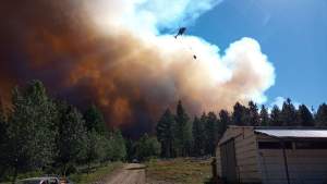 Incendios en la zona de Aluminé: contuvieron el fuego en Ruca Choroi