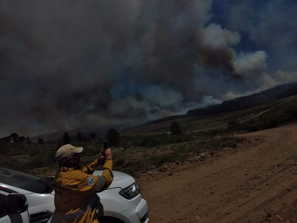 El fuego se expandió y consumió alrededor de  3000 hectáreas. Foto: Radio Municipal  Aluminé Fm 88.7