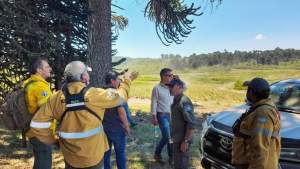 El incendio en Aluminé sigue sin control y ya quemó casi 4 mil hectáreas