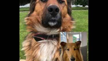 Dylan, cuenta con miles de seguidores en Instagram.