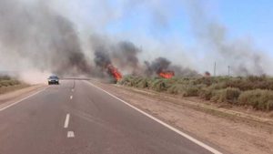 Habilitan la ruta 22 que fue cortada anoche por el incendio entre Chimpay y Chelforó