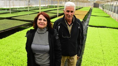 Ernesto Wolfschmidt en sus invernaderos, que ocupan 3 de las 13 hectáreas de la chacra. En Allen logró formar una familia junto a Susana Michetti. (Fotos: César Izza)