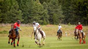 En San Martín la pasión por el polo se vive entre bosques y montañas