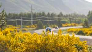 Se mantienen los días primaverales: mirá el pronóstico de Río Negro y Neuquén