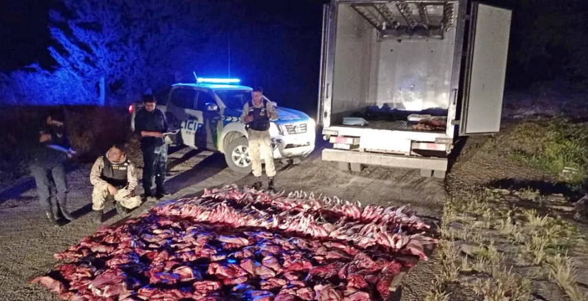 Un camión transportaba en Bariloche más de 800 kilos de carne de distinta especie, sin documentación. Foto: gentileza