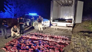 Secuestran en Bariloche más de 800 kilos de carne de faena clandestina