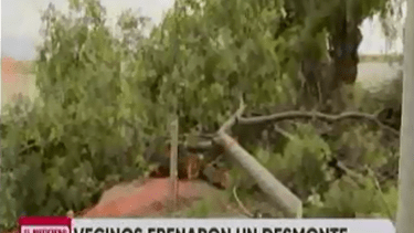 Los vecinos dijeron que el grupo de operarios tenía autorización para derribar 27 árboles. (Captura pantalla Telefé Neuquén)